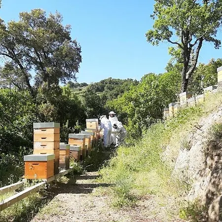 Casas De Mirao Kır Evi